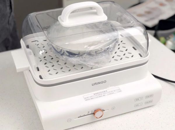 糙米肉松糯米糍