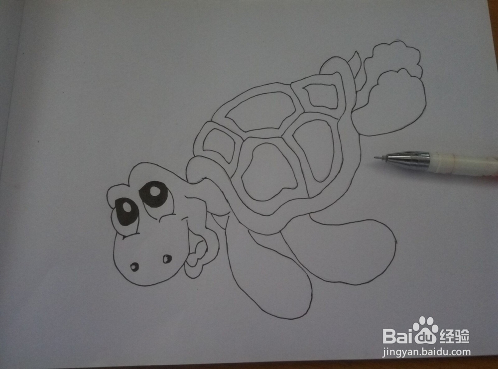 简笔画------海龟（小乌龟）