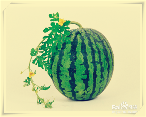 #清热解暑#夏天常吃的瓜果类