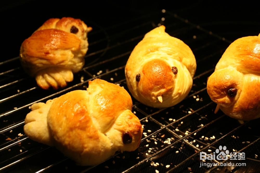 怎么做鸽子鸟面包(中种)?