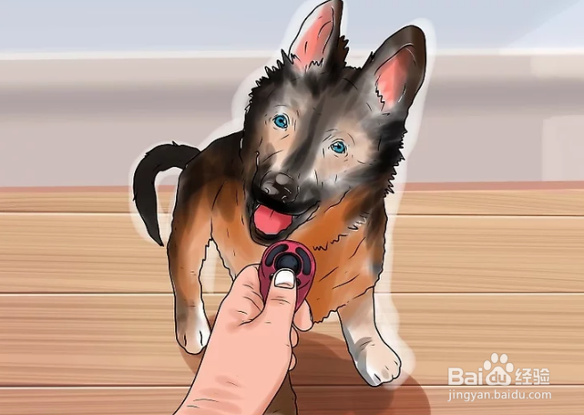 如何训练德国牧羊犬