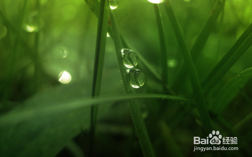 如何预防日光性皮炎