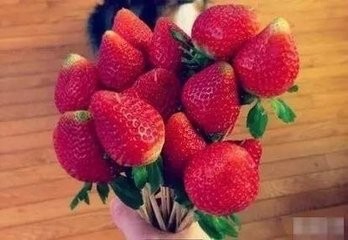 草莓花束制作方法