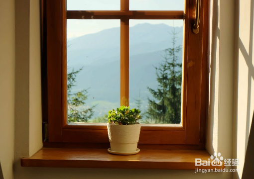 新房如何预防蟑螂侵害呢?