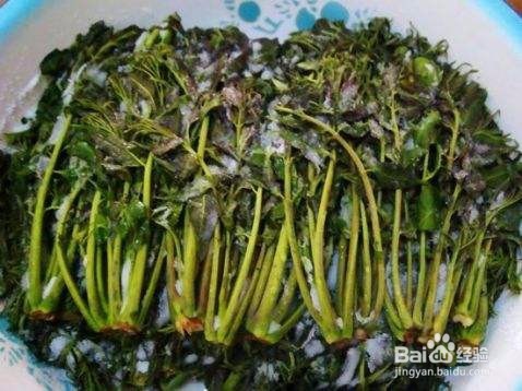 香椿芽的储存方法