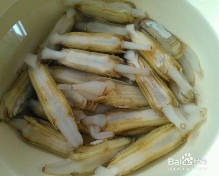 蛏子是海鲜还是河鲜