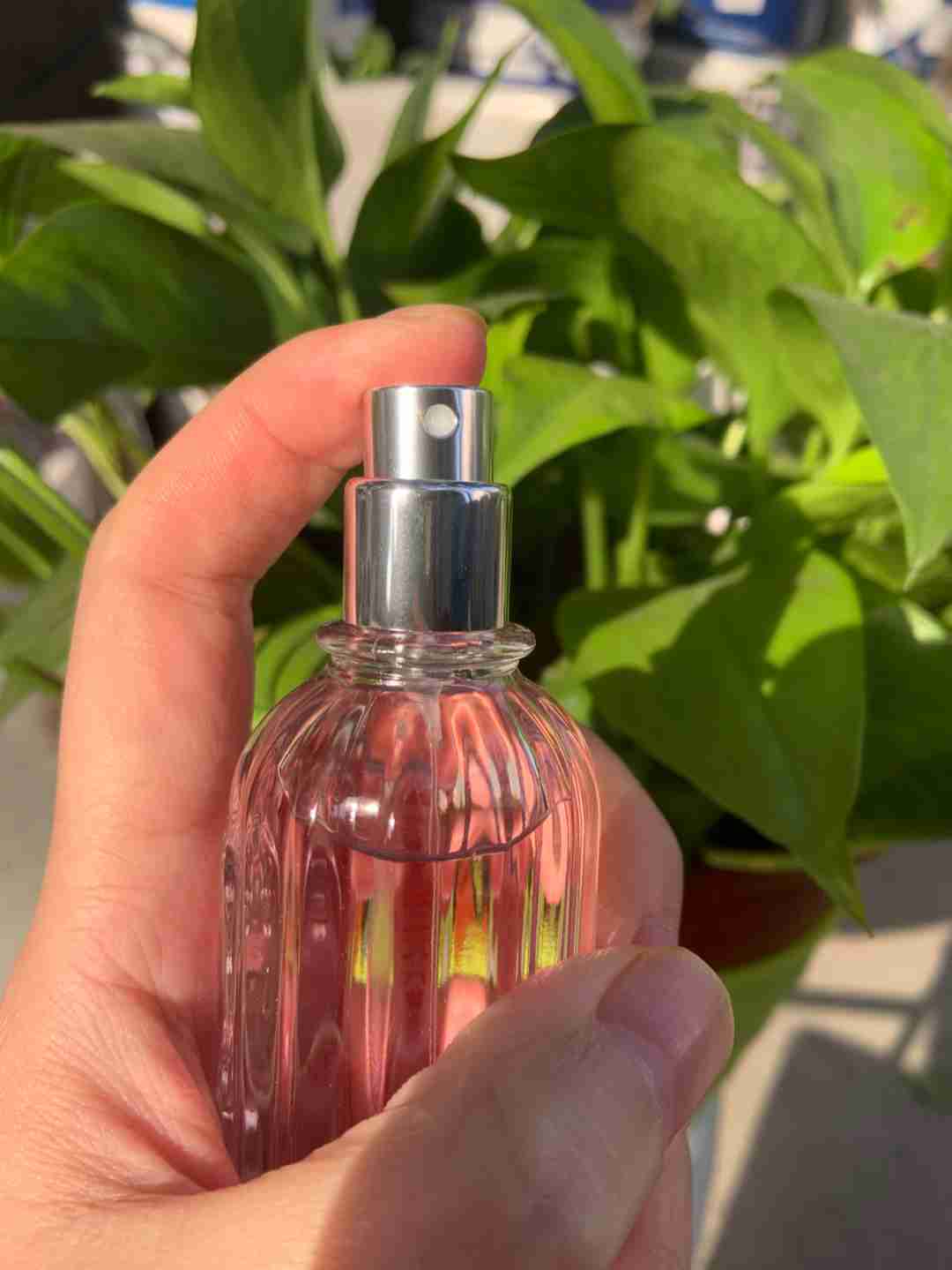 不怕撞香的小众香水，外观充满高颜值少女心，重要的是价格很亲民