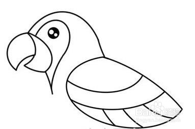 伴儿成长简笔画系列-怎样画美丽鹦鹉简笔画