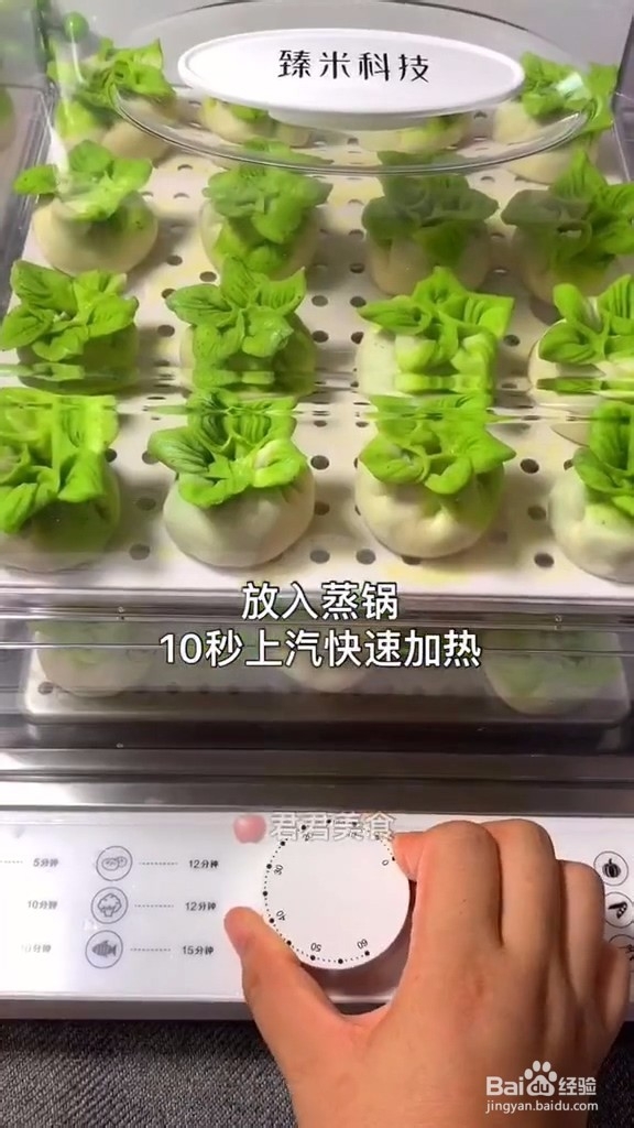 白菜蒸饺的做法