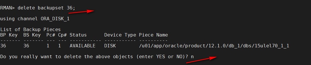 RMAN备份PLUS与INCLUDE和NOPROMPT还有input用法