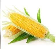 皮肤黑吃什么食物可以帮助美白？