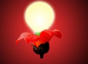 告诉你生活用品驱蚊小妙招