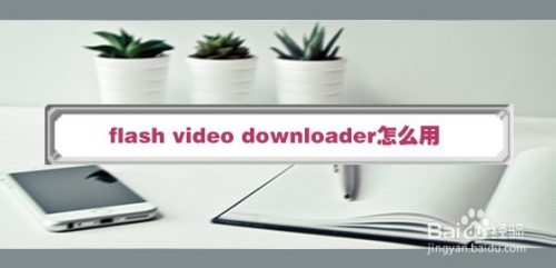 Flash Video Downloader怎么用 百度经验