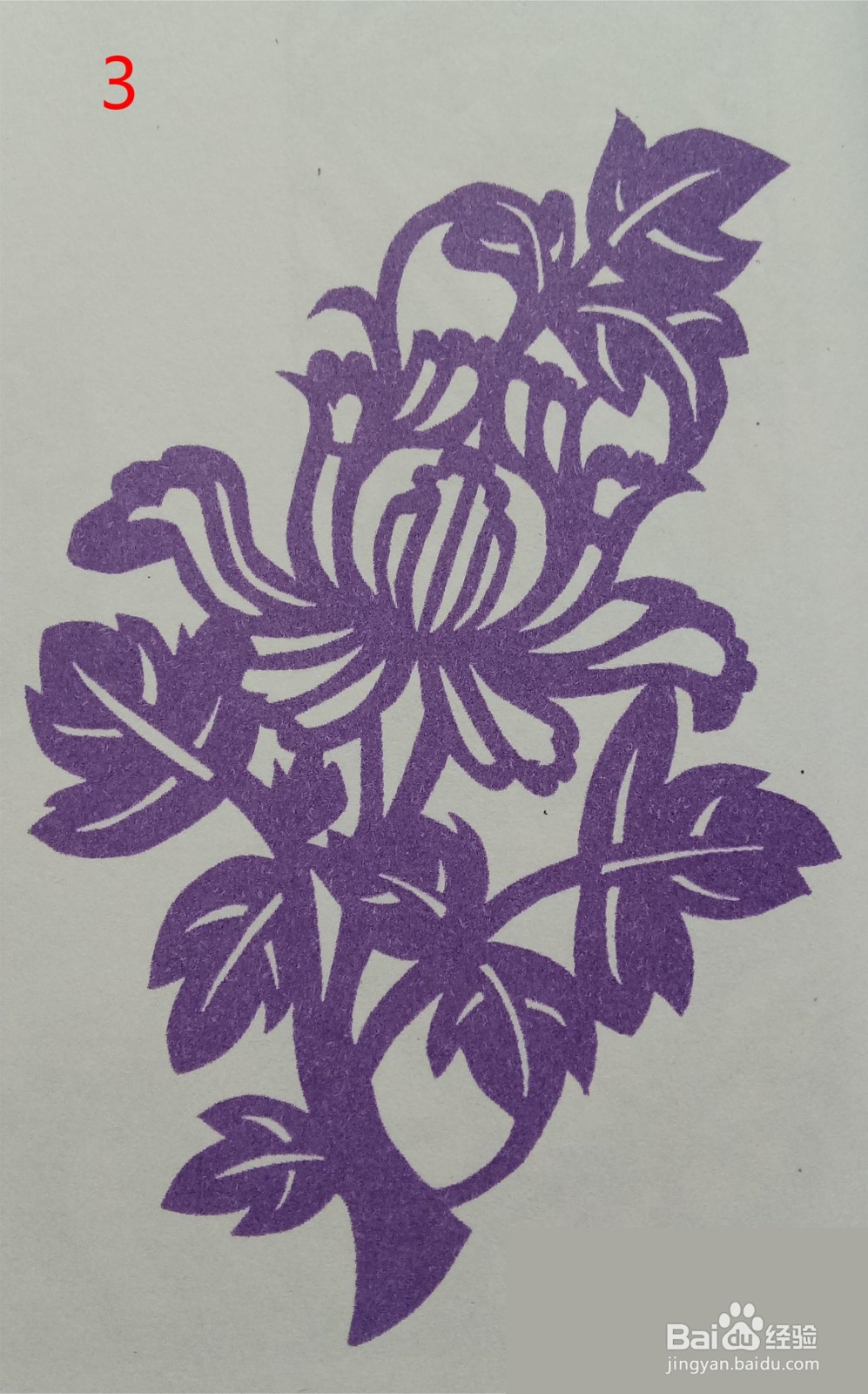 剪纸:“矢车菊”的剪纸