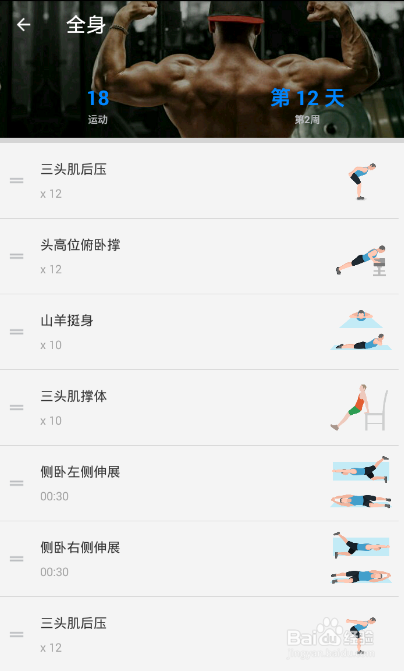 全身7x4挑战（运动：18）（第二周：第12天）