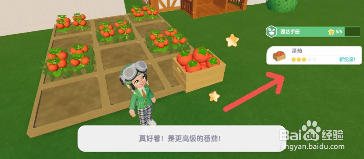 心动小镇怎么在游戏中获得番茄蔬菜