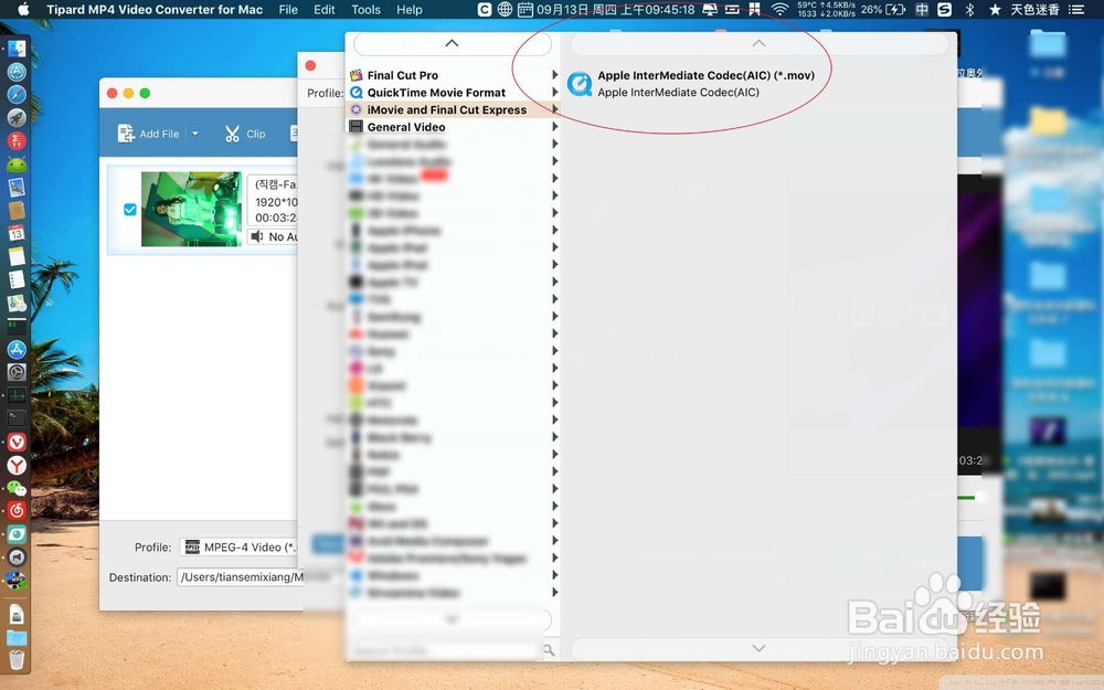 QuickTime另存为显示灰色无法导出文件怎么办