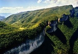 怎样确定你坠入了爱河