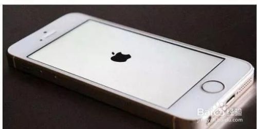 Iphone手机出现白苹果应该怎么办呢 百度经验