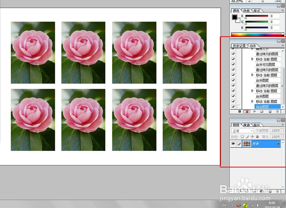 photoshop中如何对排版寸照设置动作