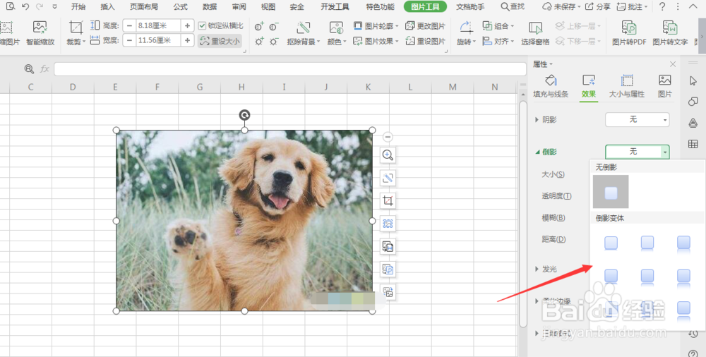 WPS表格中如何给图片添加倒影