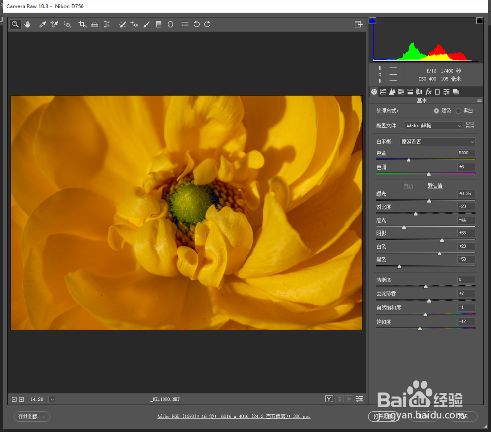 Camera Raw10.3版本打开RAW照片卡死解决方案