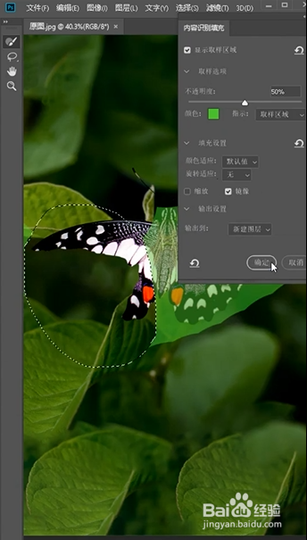 PS如何进行镜像填充