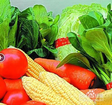 夏季养生多吃哪些食物好