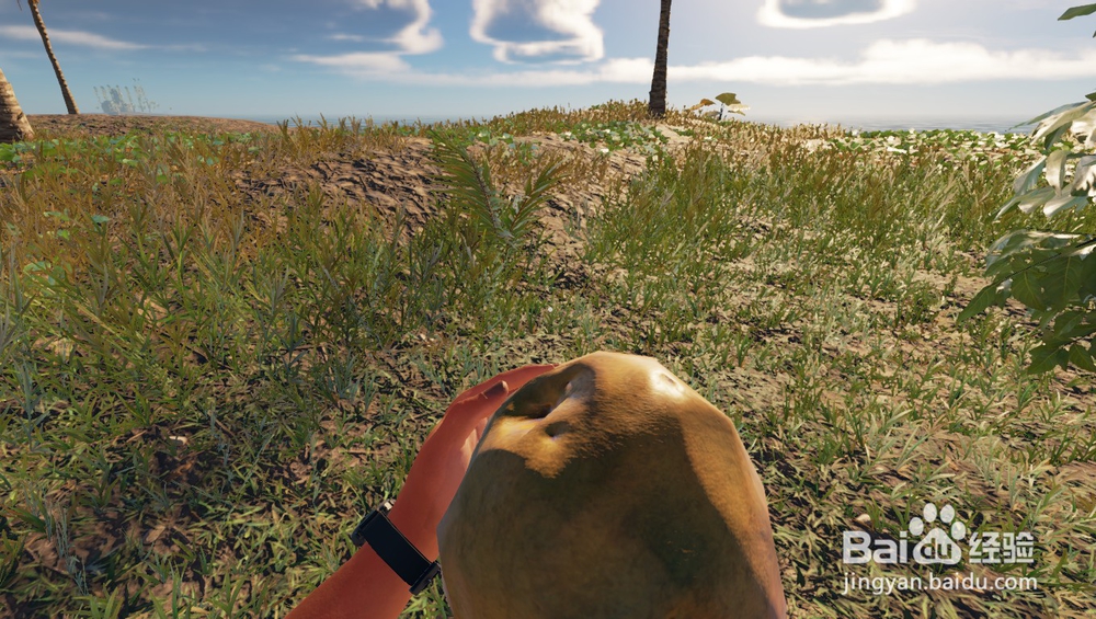 深海搁浅里的椰子有什么吃法？