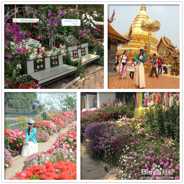 我的溜溜泰国：[1]古城清迈