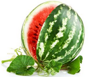 夏季巧选有籽和无籽西瓜的方法