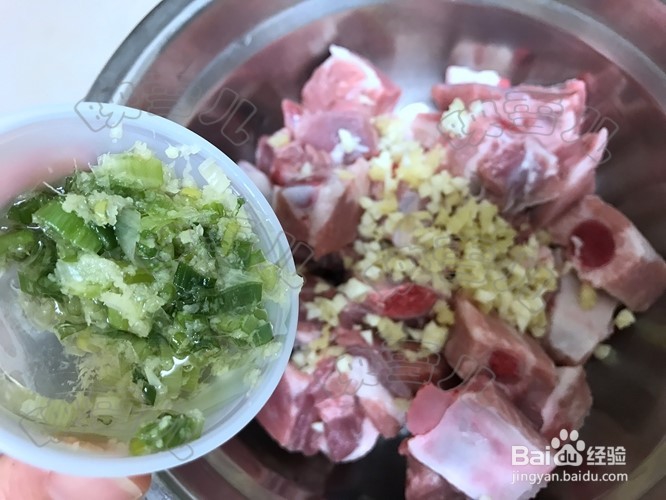 怎么做萝卜焖排骨