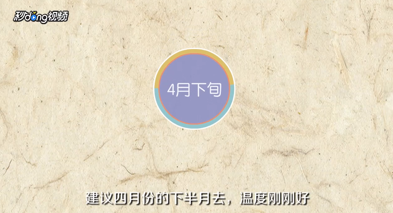 西安自助游攻略