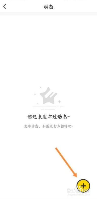 怎么在稀有派APP中发布动态信息？