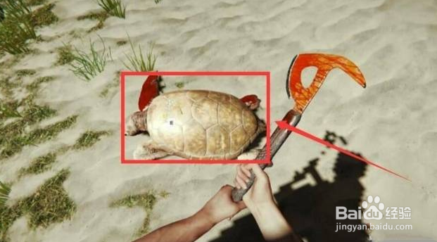 森林怎么收集水