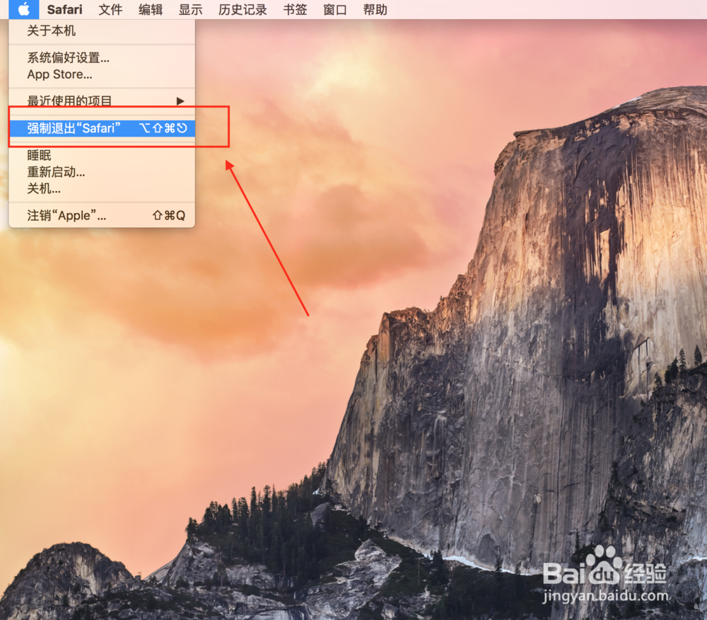 苹果电脑怎么打开任务管理器