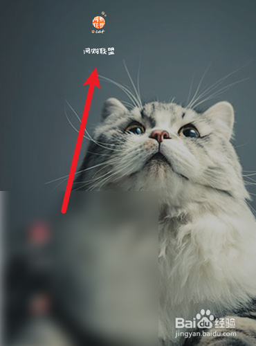 网购联盟怎么查找收益报表的明细