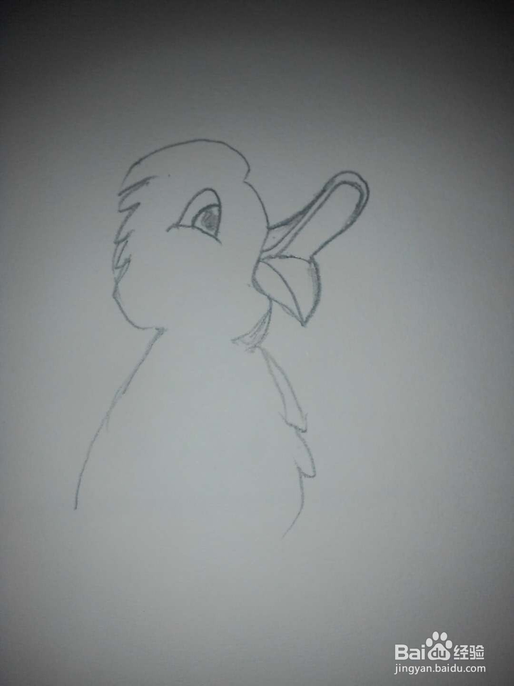 鸭子的卡通画法