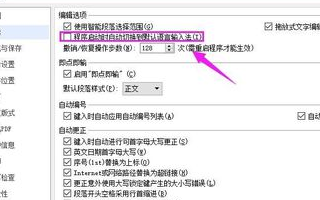 wps打不出字如何解决