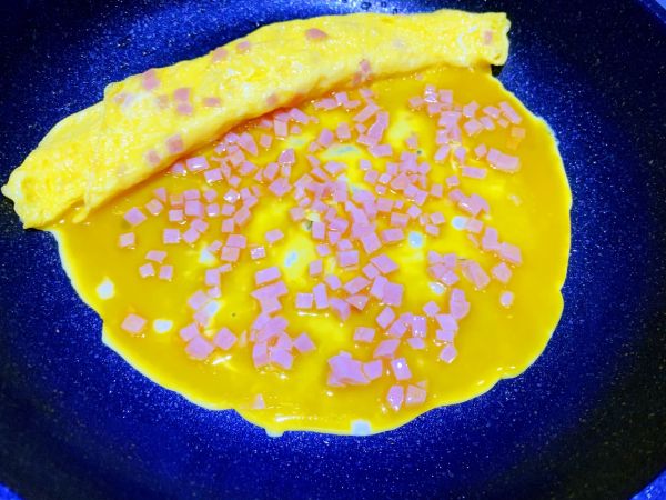 厚蛋烧鸡腿便当