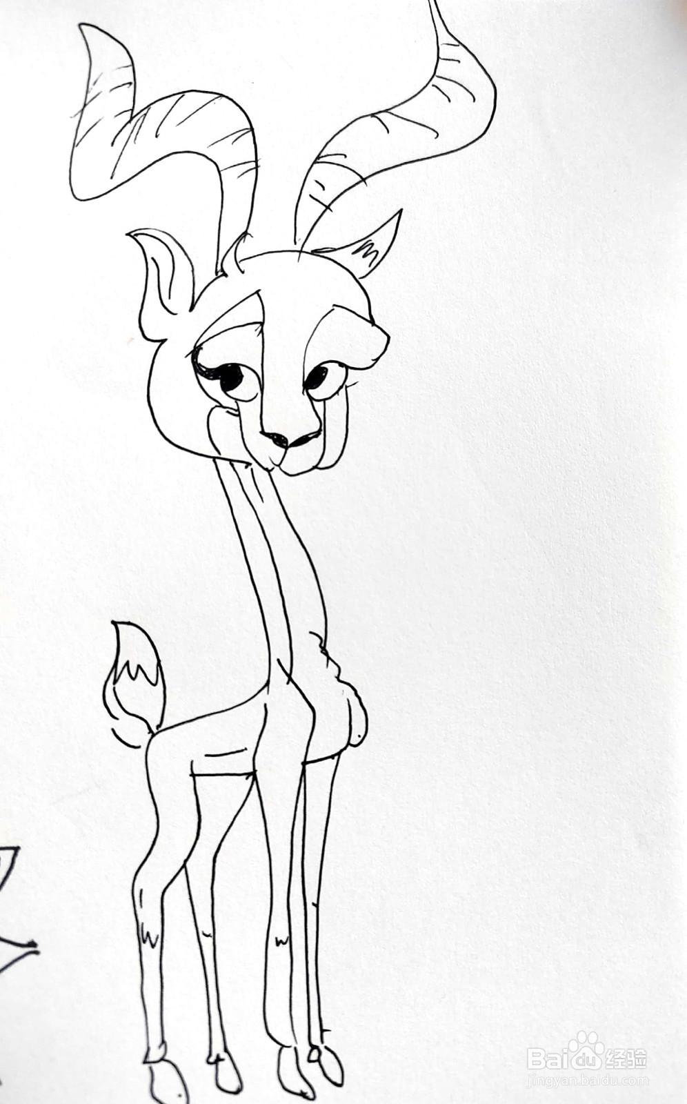 麋鹿线描画怎么画