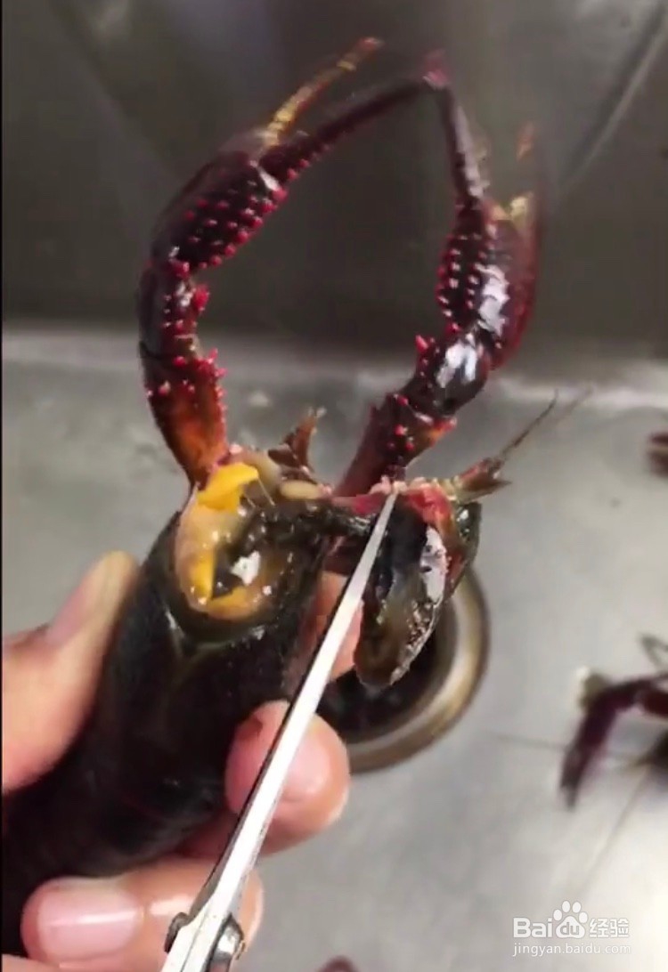 特色香辣小龙虾怎么做
