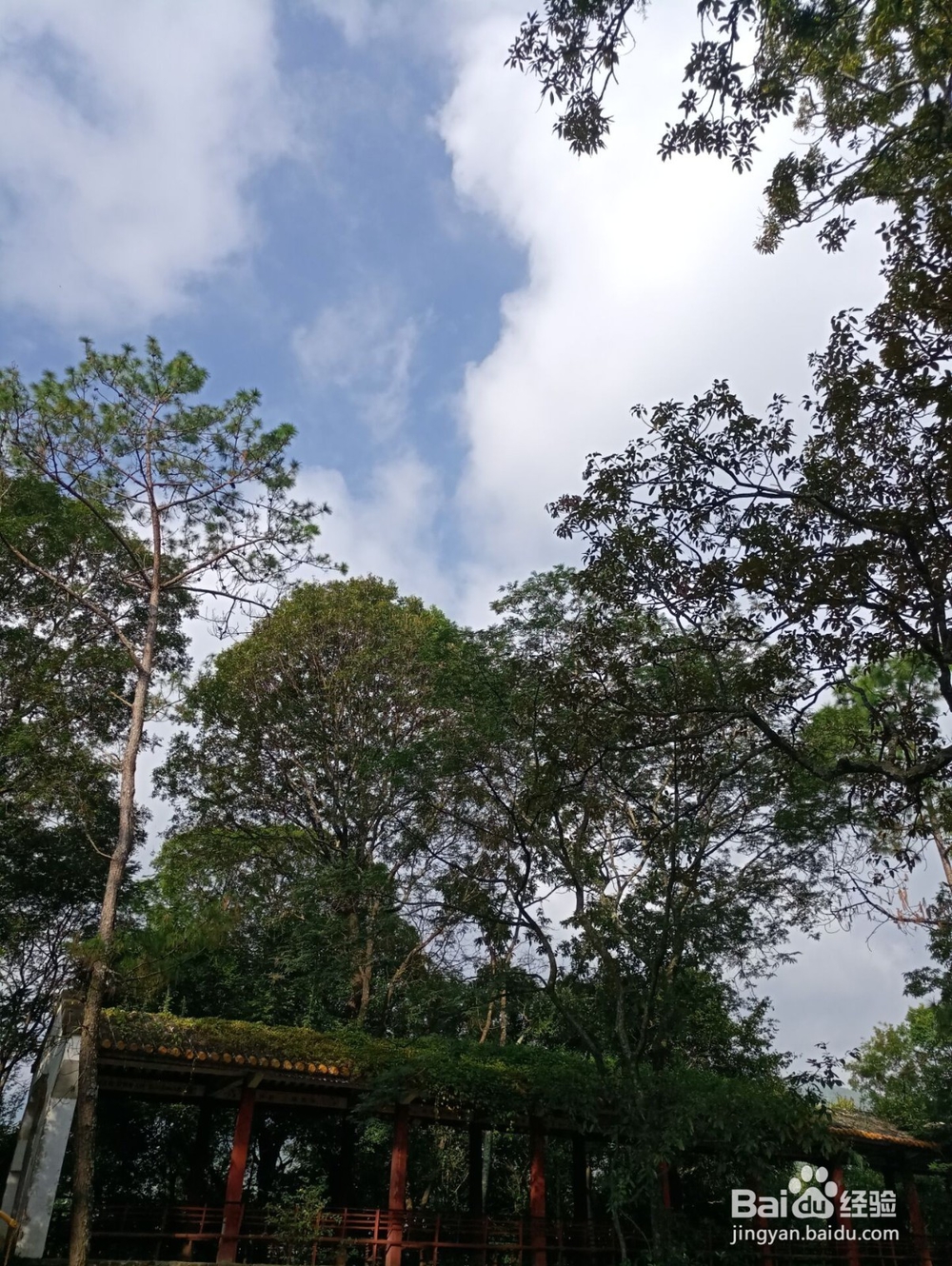 云南游之保山市太保山森林公园