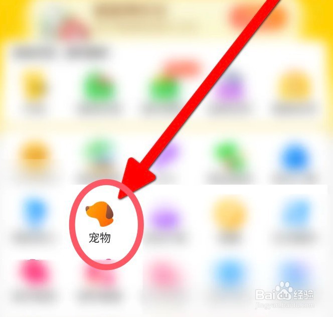 如何训练小鹿犬
