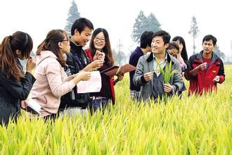 即将进入大学的我们