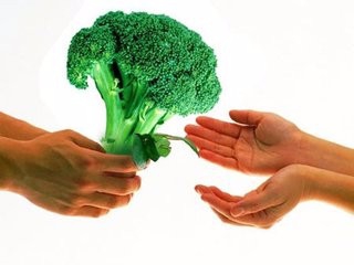 成为素食主义者