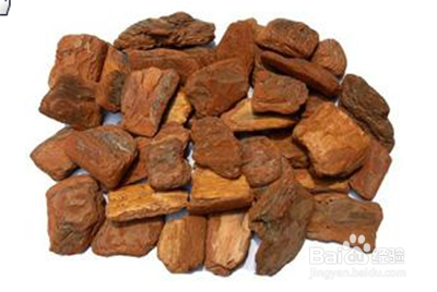 松树皮的功效与作用