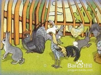 小学经典数学题解法之【鸡兔同笼】