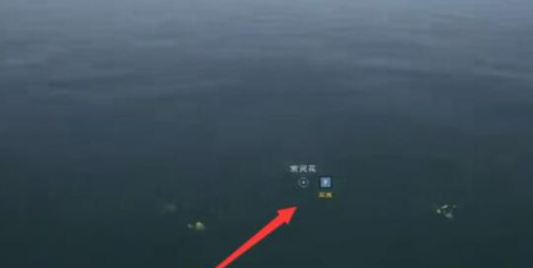 太荒初境紫灵花采集方法