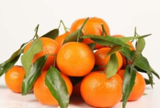 不适宜空腹下进食的水果